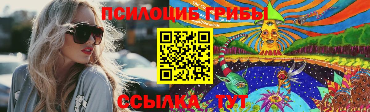 Псилоцибиновые грибы прущие грибы  Вход с VPN  Рубцовск  Псилоцибиновые грибы Psilocybine cubensis 