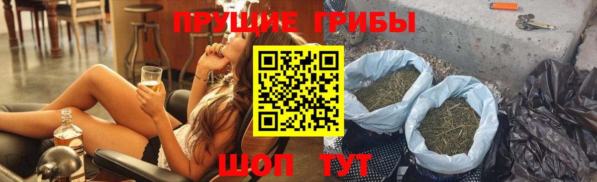 Псилоцибиновые грибы Psilocybe Рубцовск